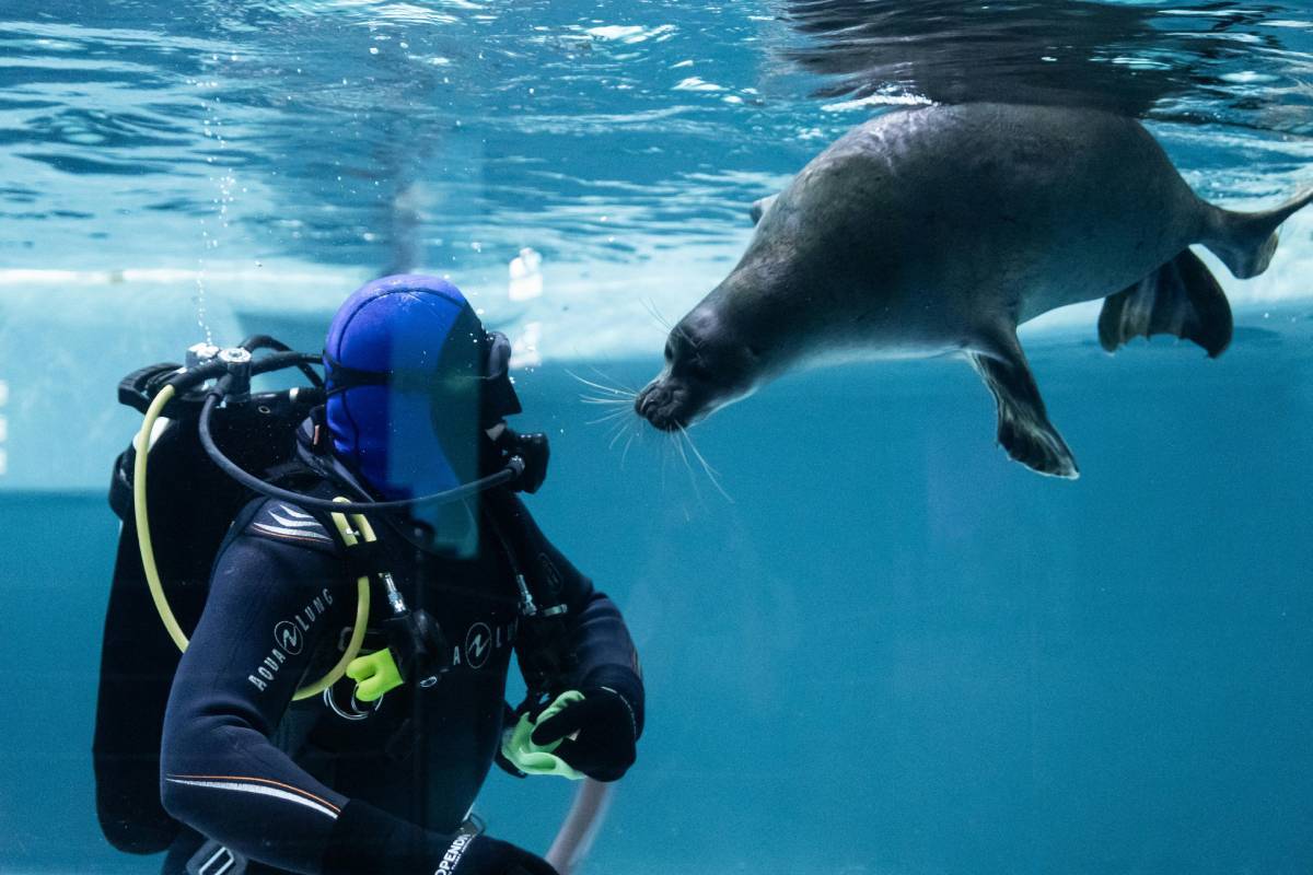 IndustryExample_Oceanography